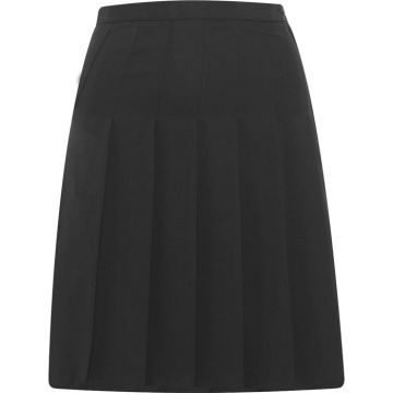 Designer Pleated Skirt