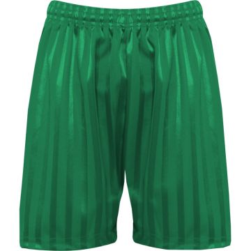 Shadow Stripe Shorts