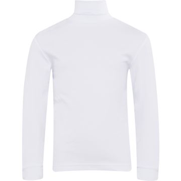 AAAA112089-DERWENT POLO NECK PULLOVER