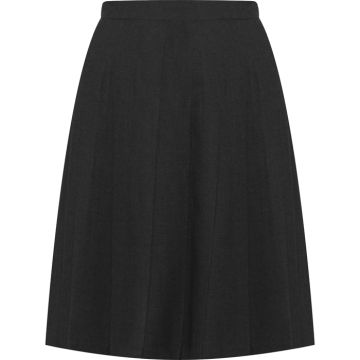 Davenport Knife Pleat Skirt